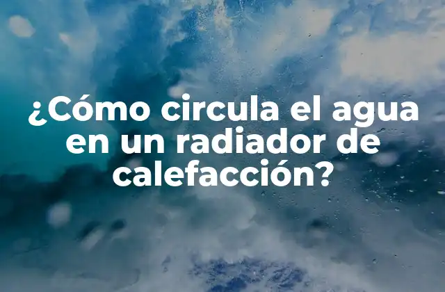 ¿cómo Circula el Agua en un Radiador de Calefacción?