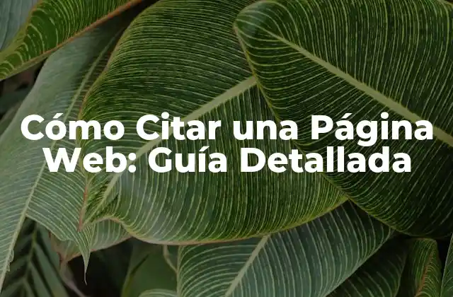 Cómo Citar una Página Web: Guía Detallada