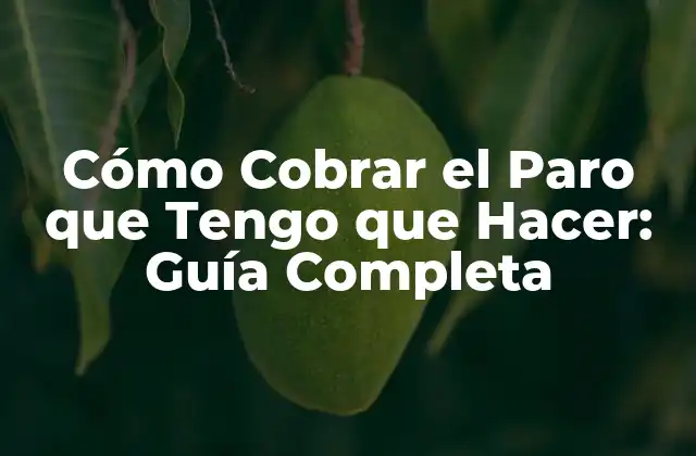 Cómo Cobrar el Paro que Tengo que Hacer: Guía Completa