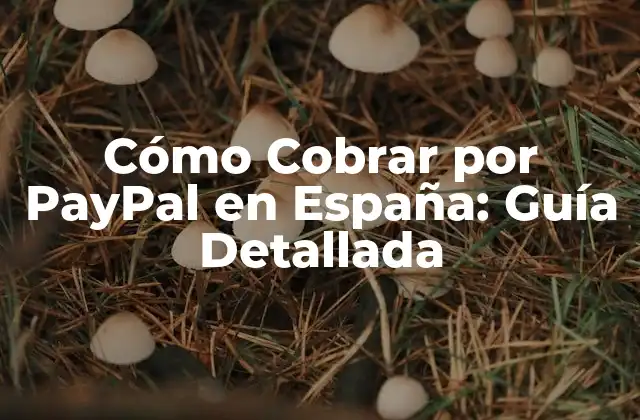 Cómo Cobrar por Paypal en España: Guía Detallada