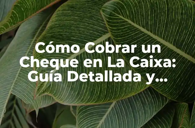 Cómo Cobrar un Cheque en la Caixa: Guía Detallada y Actualizada