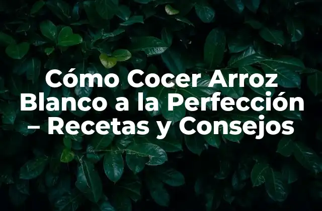 Cómo Cocer Arroz Blanco a la Perfección – Recetas y Consejos
