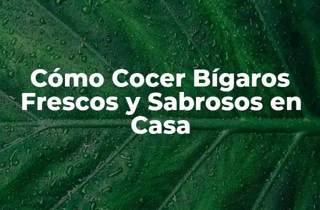 Cómo Cocer Bígaros Frescos y Sabrosos en Casa