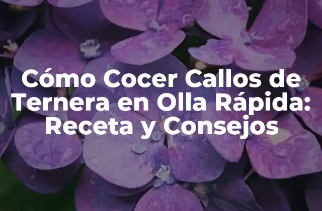 Cómo Cocer Callos de Ternera en Olla Rápida: Receta y Consejos