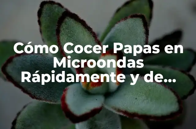 Cómo Cocer Papas en Microondas Rápidamente y de Forma Saludable 2 Ventajas de Cocer Papas en Microondas