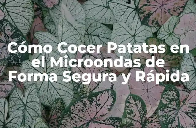 ¿Cuánto Tiempo Debe Cocer una Patata en el Microondas?