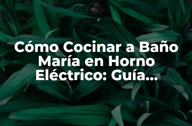 Cómo Cocinar a Baño María en Horno Eléctrico: Guía Completa