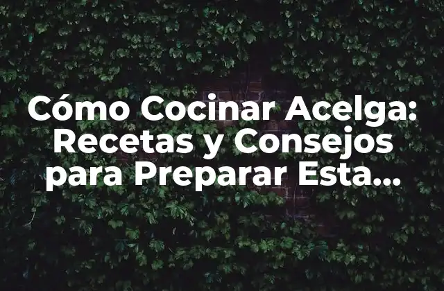 Cómo Cocinar Acelga: Recetas y Consejos para Preparar Esta Verdura Nutritiva