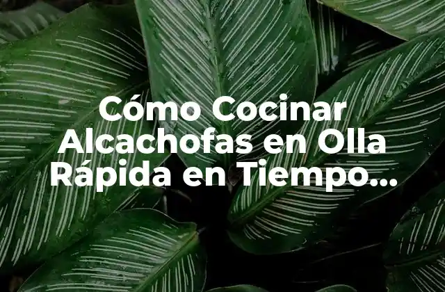 Cómo Cocinar Alcachofas en Olla Rápida en Tiempo Récord: Guía Completa