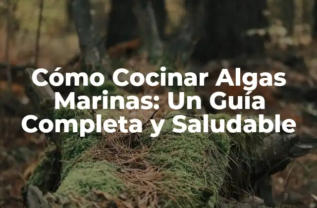 Cómo Cocinar Algas Marinas: un Guía Completa y Saludable