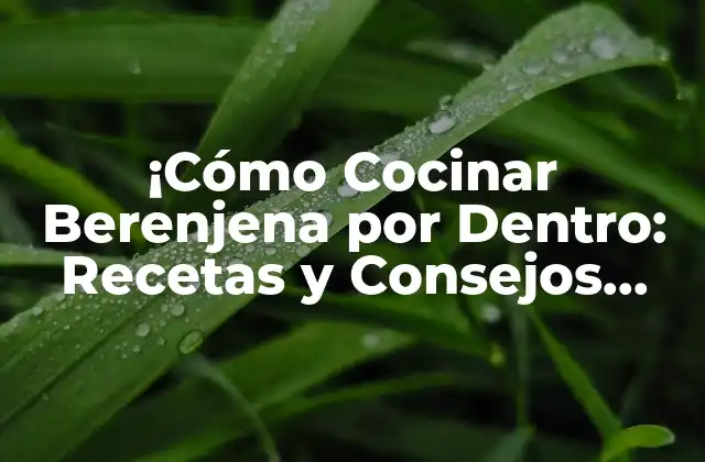 ¡cómo Cocinar Berenjena por Dentro: Recetas y Consejos para una Deliciosa Preparación!