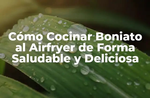Cómo Cocinar Boniato Al Airfryer de Forma Saludable y Deliciosa