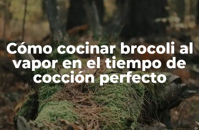 Cómo Cocinar Brocoli Al Vapor en el Tiempo de Cocción Perfecto