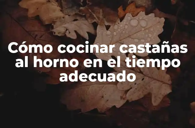 Cómo Cocinar Castañas Al Horno en el Tiempo Adecuado