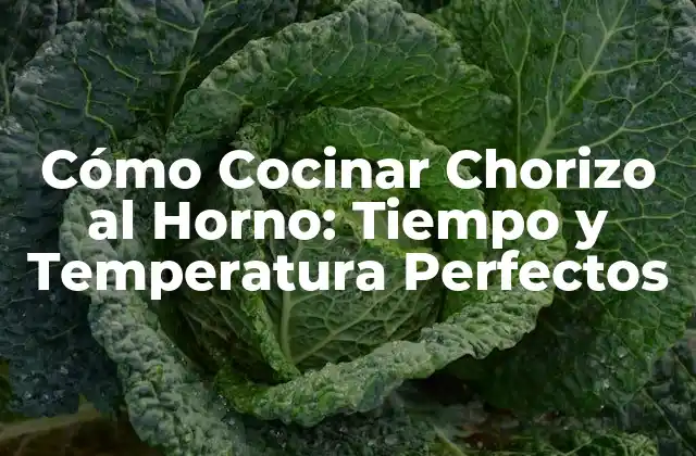 Cómo Cocinar Chorizo Al Horno: Tiempo y Temperatura Perfectos