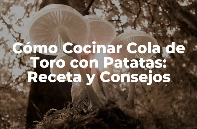 Cómo Cocinar Cola de Toro con Patatas: Receta y Consejos
