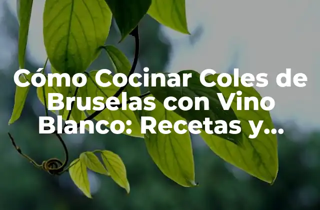 Cómo Cocinar Coles de Bruselas con Vino Blanco: Recetas y Consejos