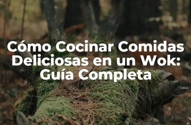 Cómo Cocinar Comidas Deliciosas en un Wok: Guía Completa