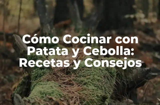 Cómo Cocinar con Patata y Cebolla: Recetas y Consejos
