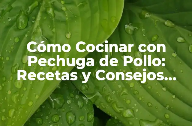 Cómo Cocinar con Pechuga de Pollo: Recetas y Consejos para una Comida Deliciosa y Saludable