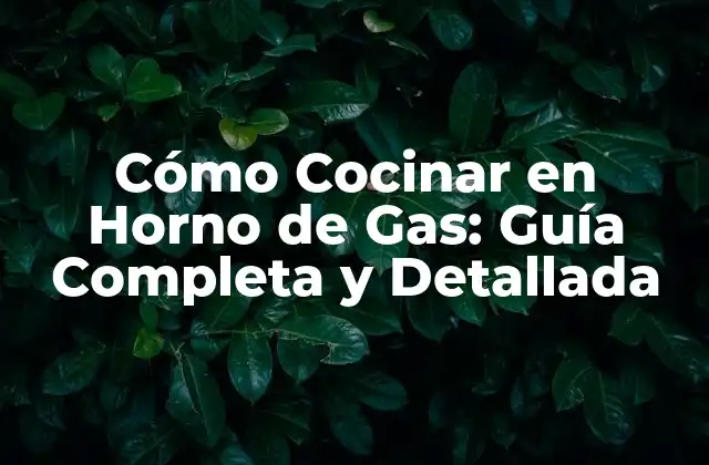 Cómo Cocinar en Horno de Gas: Guía Completa y Detallada