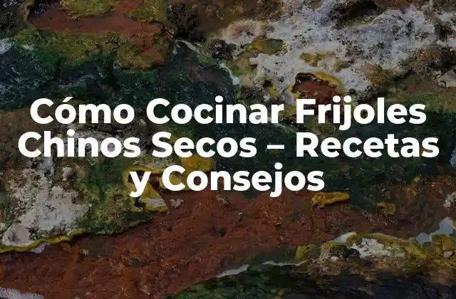 Beneficios Nutricionales de los Frijoles Chinos Secos