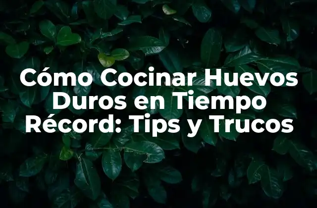 Cómo Cocinar Huevos Duros en Tiempo Récord: Tips y Trucos