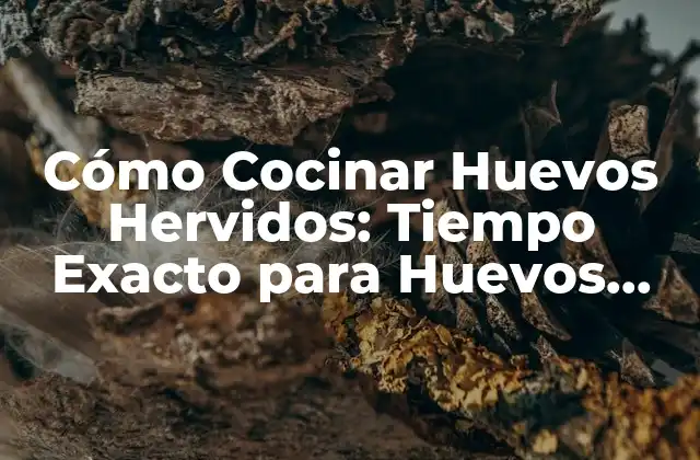 Cómo Cocinar Huevos Hervidos: Tiempo Exacto para Huevos Perfectos