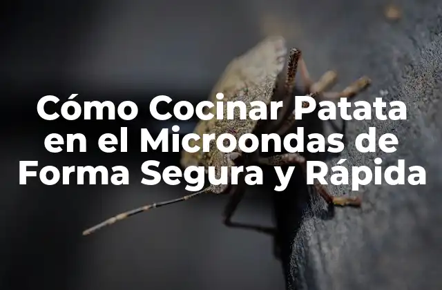 Cómo Cocinar Patata en el Microondas de Forma Segura y Rápida
