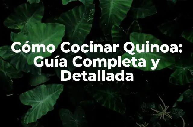 Cómo Cocinar Quinoa: Guía Completa y Detallada