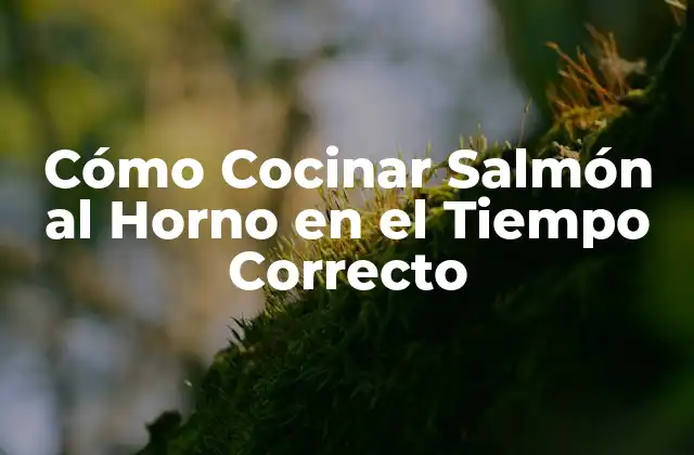 Cómo Cocinar Salmón Al Horno en el Tiempo Correcto
