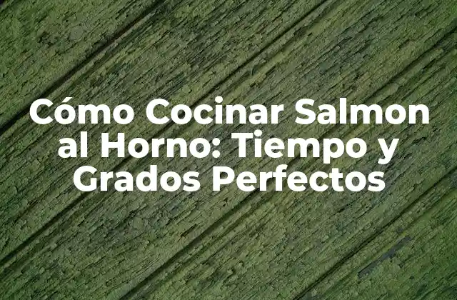 Cómo Cocinar Salmon Al Horno: Tiempo y Grados Perfectos