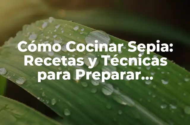 Cómo Cocinar Sepia: Recetas y Técnicas para Preparar Deliciosos Platos de Sepia
