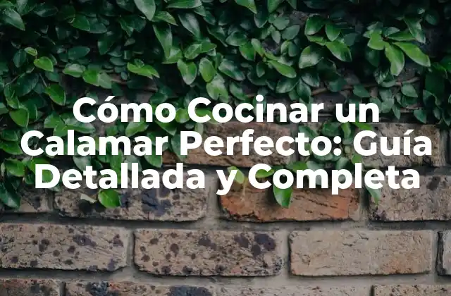 Cómo Cocinar un Calamar Perfecto: Guía Detallada y Completa 2 Selección y Preparación del Calamar