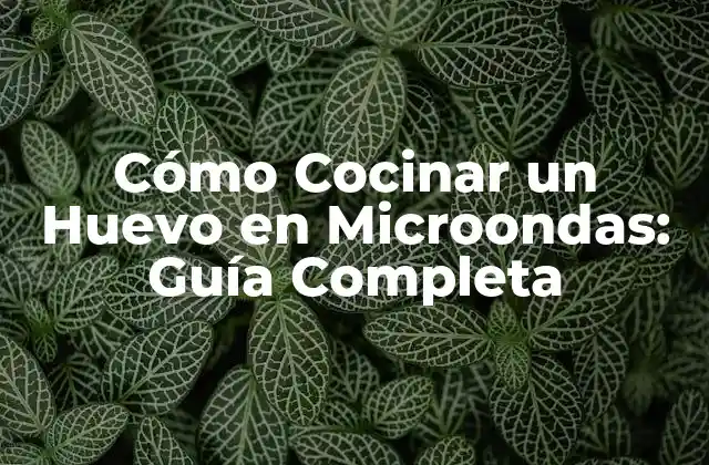 Cómo Cocinar un Huevo en Microondas: Guía Completa