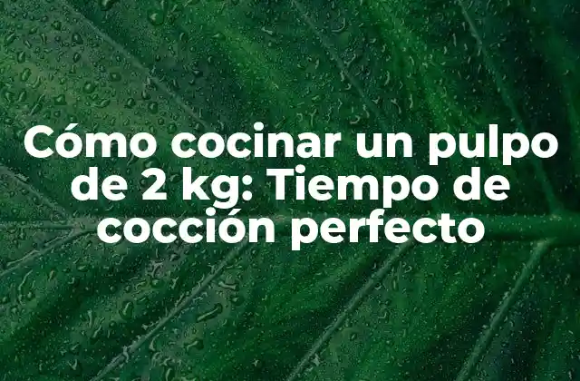Cómo Cocinar un Pulpo de 2 Kg: Tiempo de Cocción Perfecto 2 ¿Cuál es el método de cocción adecuado para un pulpo de 2 kg?