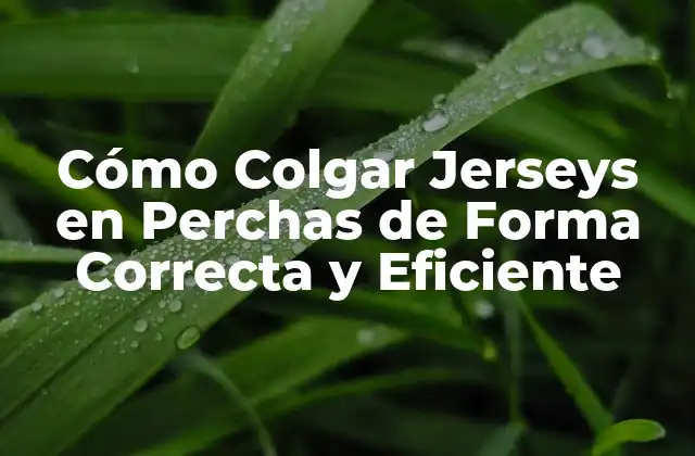 Cómo Colgar Jerseys en Perchas de Forma Correcta y Eficiente