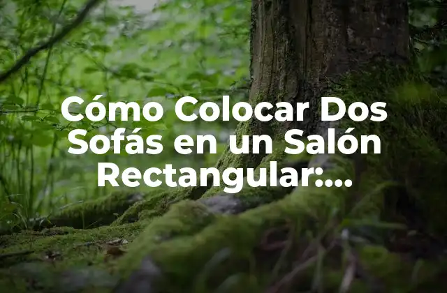 Cómo Colocar Dos Sofás en un Salón Rectangular: Soluciones y Consejos