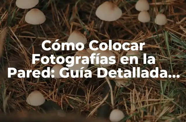 Cómo Colocar Fotografías en la Pared: Guía Detallada para Decorar Tu Hogar