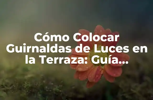 Cómo Colocar Guirnaldas de Luces en la Terraza: Guía Práctica y Decorativa