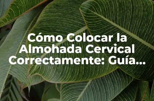 Cómo Colocar la Almohada Cervical Correctamente: Guía Completa