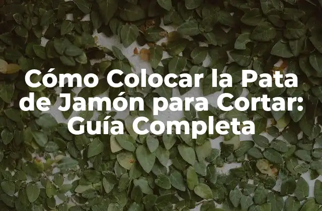 Cómo Colocar la Pata de Jamón para Cortar: Guía Completa