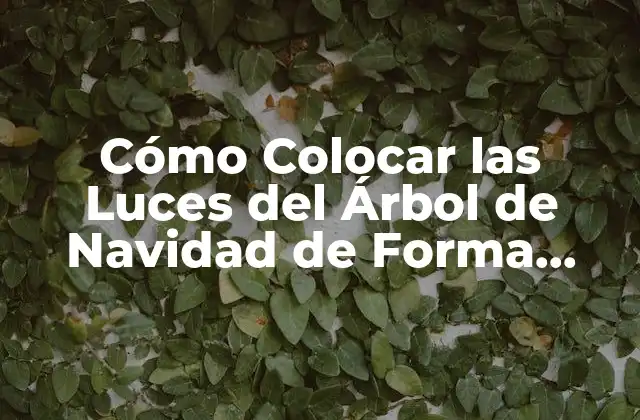 Cómo Colocar las Luces Del Árbol de Navidad de Forma Segura y Efectiva 2 Preparación del Árbol de Navidad para la Decoración de Luces