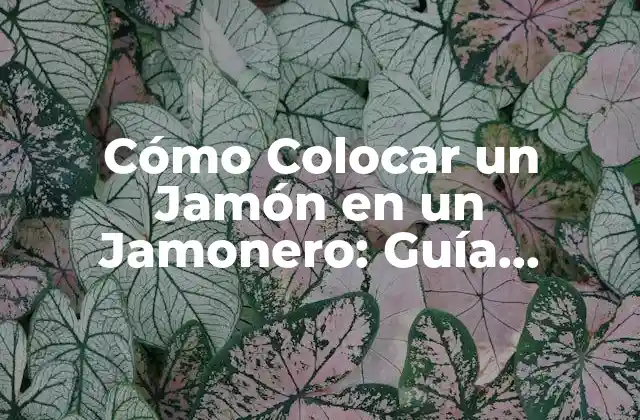Cómo Colocar un Jamón en un Jamonero: Guía Detallada y Completa