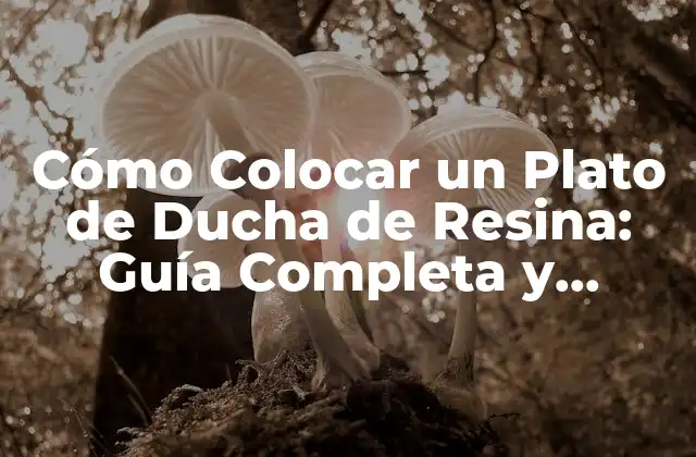 Cómo Colocar un Plato de Ducha de Resina: Guía Completa y Detallada