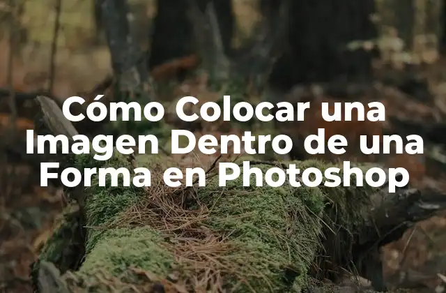 Cómo Colocar una Imagen Dentro de una Forma en Photoshop