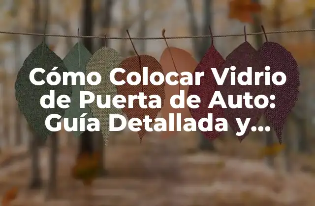 Cómo Colocar Vidrio de Puerta de Auto: Guía Detallada y Práctica 2 Preparación para la Instalación de Vidrio de Puerta de Auto