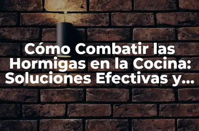 Cómo Combatir las Hormigas en la Cocina: Soluciones Efectivas y Naturales