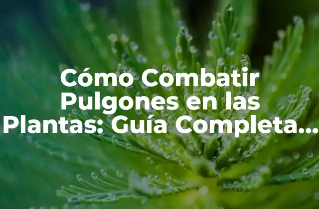 Cómo Combatir Pulgones en las Plantas: Guía Completa y Efectiva