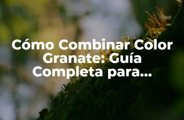 Cómo Combinar Color Granate: Guía Completa para Diseñadores y Decoradores